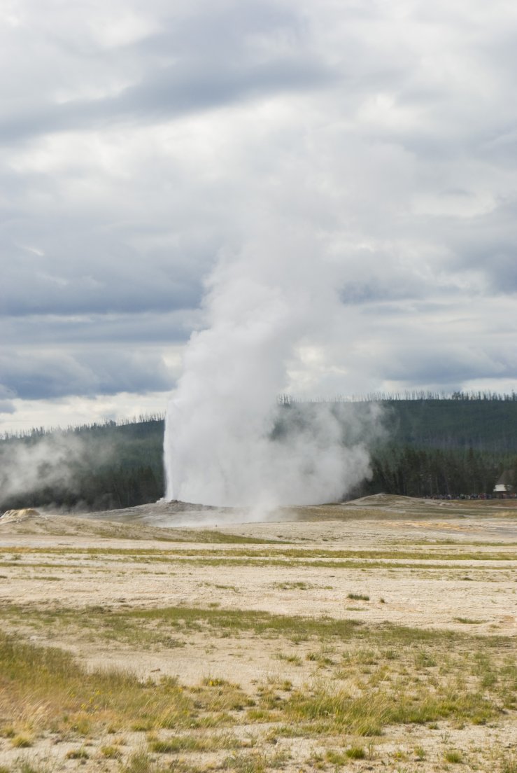 Large active geyser