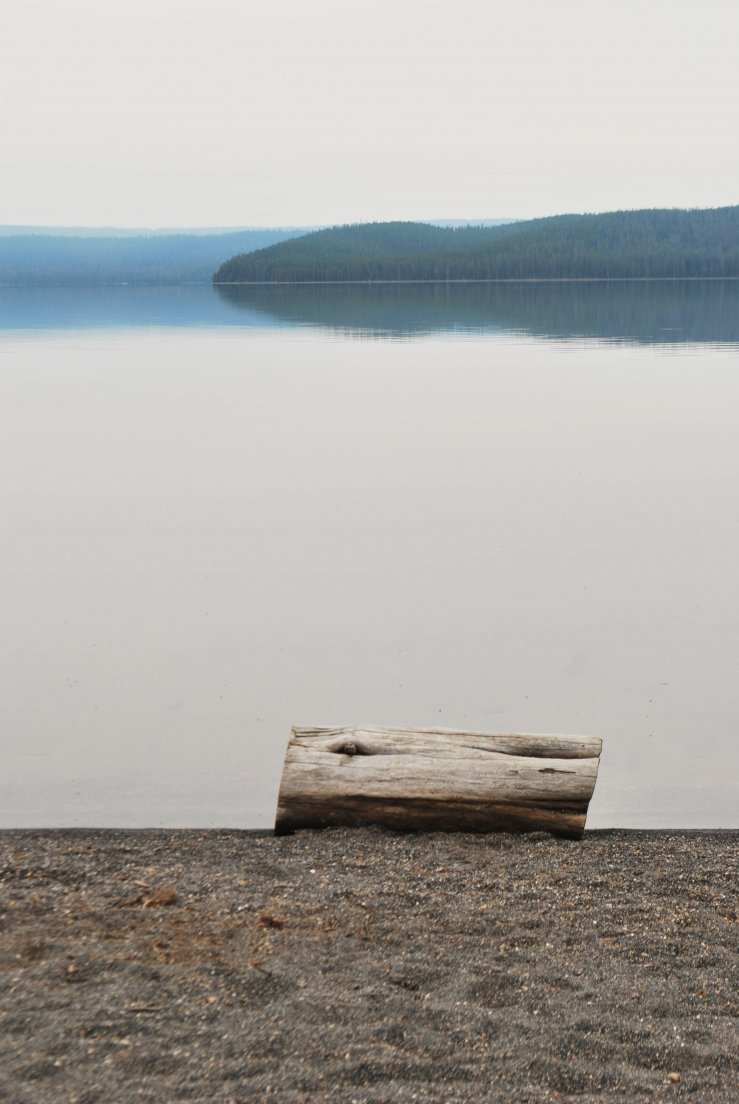 Grey day on the shore of Shoshone Lake