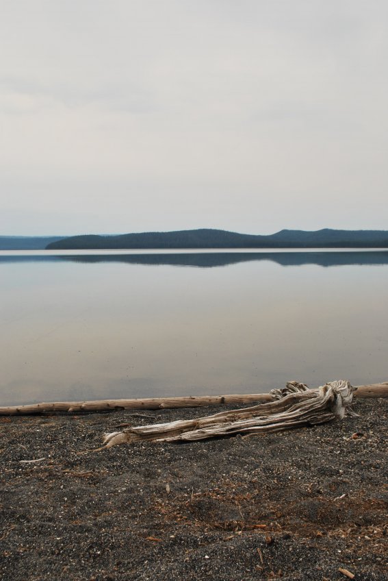 Fallen trunk by the lakeshore, Shoshone Lake #020, 27 july 2013 Fallen trunk by the lakeshore