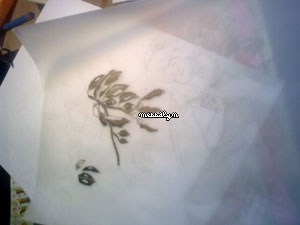 calquetempsdescerises.jpg, déc. 2009