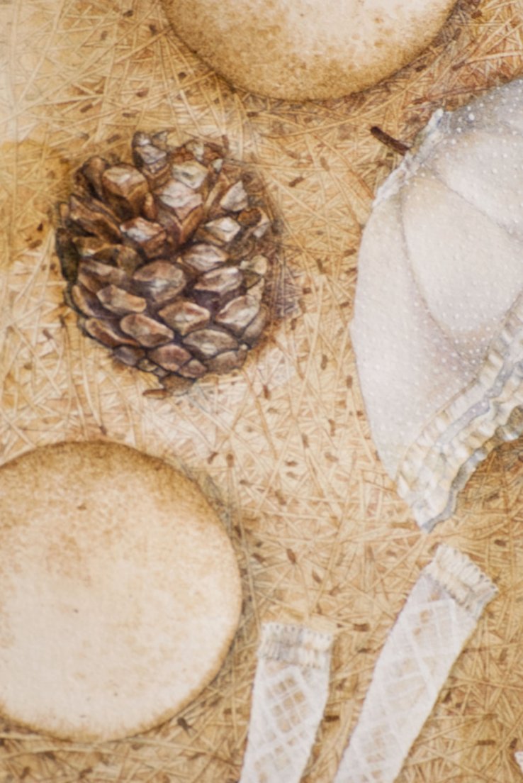 closeup-herbierfeerique3.jpg, janv. 2015 closeup-herbierfeerique3.jpg