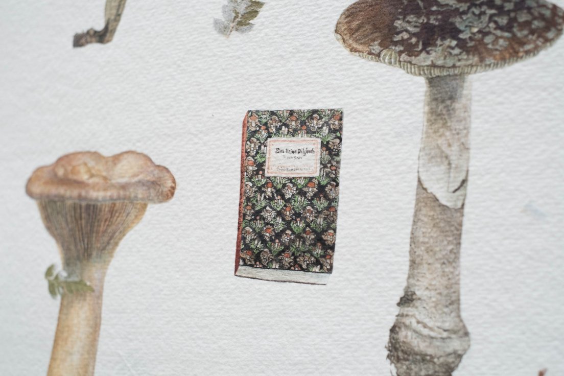 closeup-mushrooms-botanical-watercolour-2.jpg