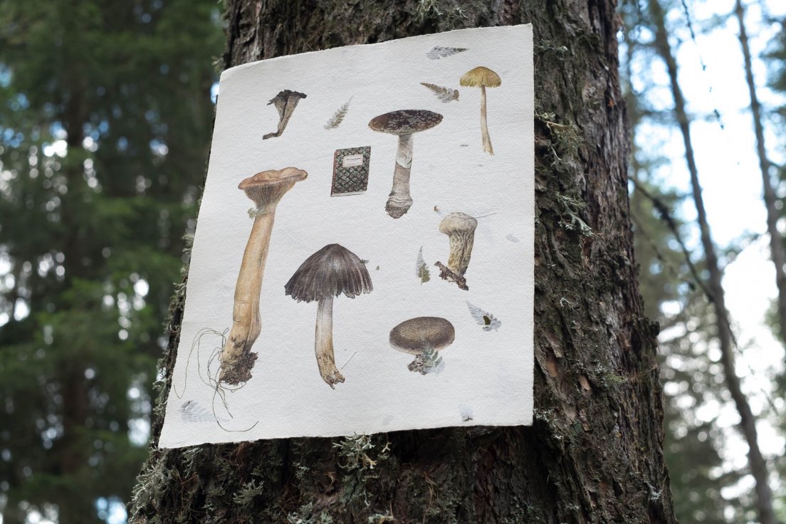 mushrooms-botanical-watercolour-1.jpg